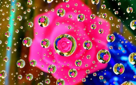 Pink Flower Water Drop Mac Wallpaper Download Allmacwallpaper