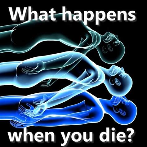 What happens when we die? Dr Oz: What Really Happens When You Die & Shortcuts To ...
