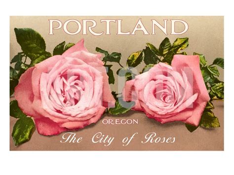 Portland Oregon City Of Roses Art Print Oregon Rose