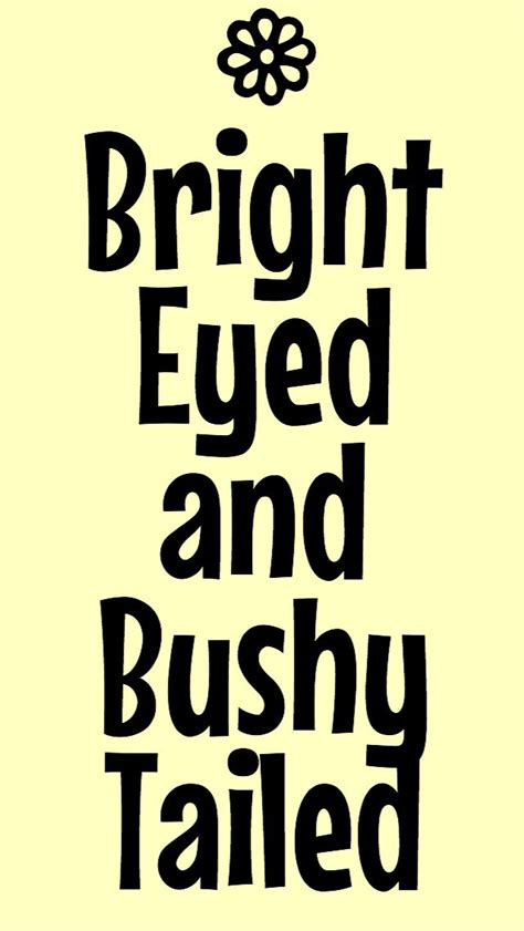 Bright Eyed And Bushy Tailed Southern Words Southern Phrases