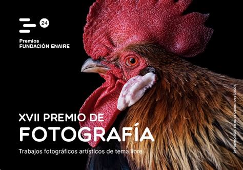 Convocado El Premio De Fotograf A Fundaci N Enaire Feb