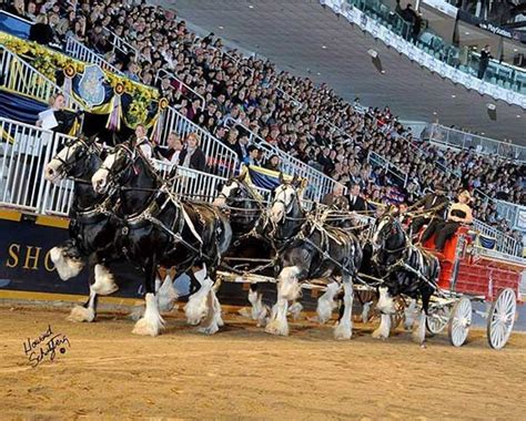 Grandview Clydesdales Farm Tours