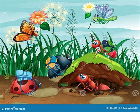 Scene With Many Bugs In The Garden Stock Vector Illustration Of