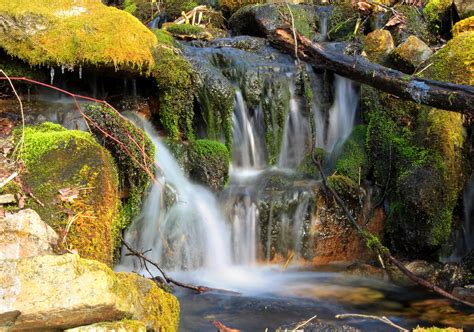 Free Picture Waterfall Water Stream River Wood Creek