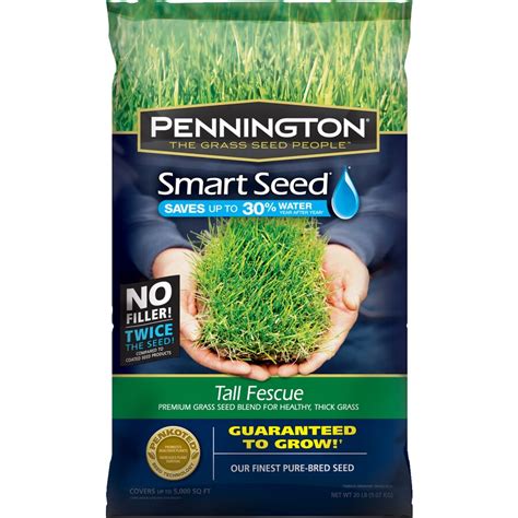 Shop Pennington Smart Seed 20 Lb Tall Fescue Seed At