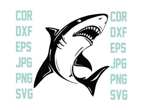 Shark Svg Cut File Instant Download Wild Life Printable Etsy