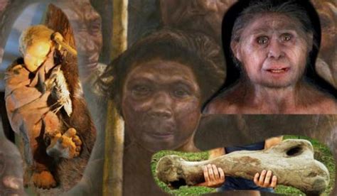 What We Discovered About Ancient Human This Year