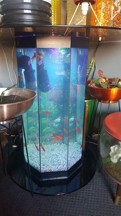 Simple Modern Goldfish Tank With New Ideas Home Decorating Ideas