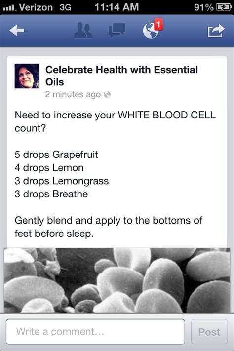 Does Cancer Increase Your White Blood Cell Count