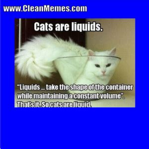For that reason, we're sure you'll enjoy these 55. wwwCleanMemescom Cats Are Liquids Liquidstake Theshape of the Container While ...