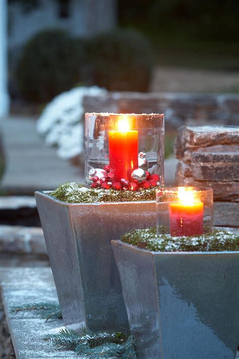 Impress Your Guests With These 14 Holiday Container Garden Ideas