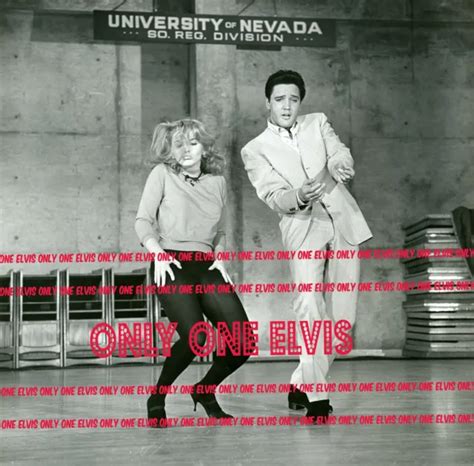 Elvis Presley And Ann Margret Viva Las Vegas X Glossy Photo My Xxx