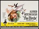 THE BIRDS (1963) Hitchcock's seminal thriller featuring Tippi Hedren in ...