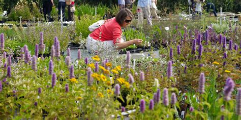 Jekkas Herb Farm Herbs Open Days Private Tours And Master Classes