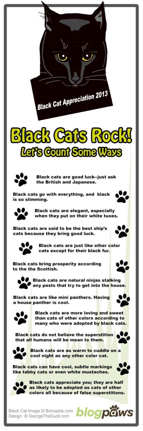 Happy Black Cat Appreciation Day Infographic Blogpaws