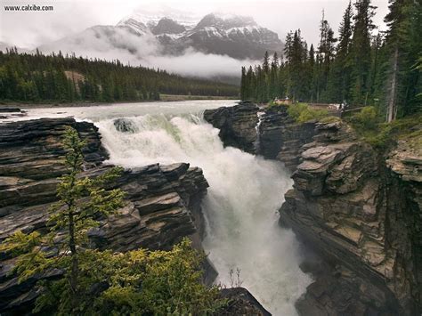 Nature Athabasca Falls Jasper National Park Alberta Canada Picture Nr