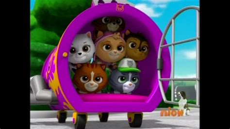 Cat Marshallgallerypups And The Mischievous Kittens Paw Patrol Wiki