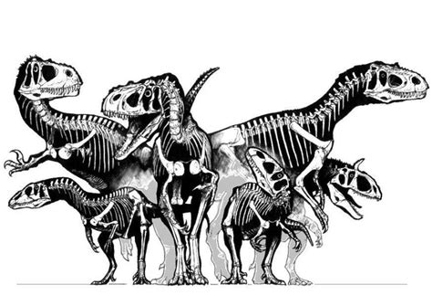 Dino skelett malvorlage coloring and malvorlagan. Malvorlage Dino Skelett | Batavusprorace