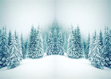 7x5ft Grey Sky Winter Wonderland Snowy Pine Forest Trees
