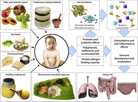 Dietary Patterns In Childhood And Their Effect On Gut Microbiota—an