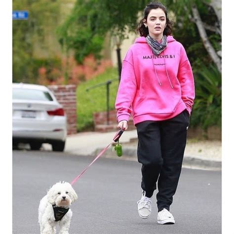 Maje Em­broi­dered Hood­ed Sweat­shirt Worn By Lucy Hale Walking Her