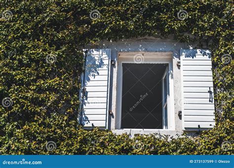Stone Ancient Building Covered With Ivy Green Plants Open Window With