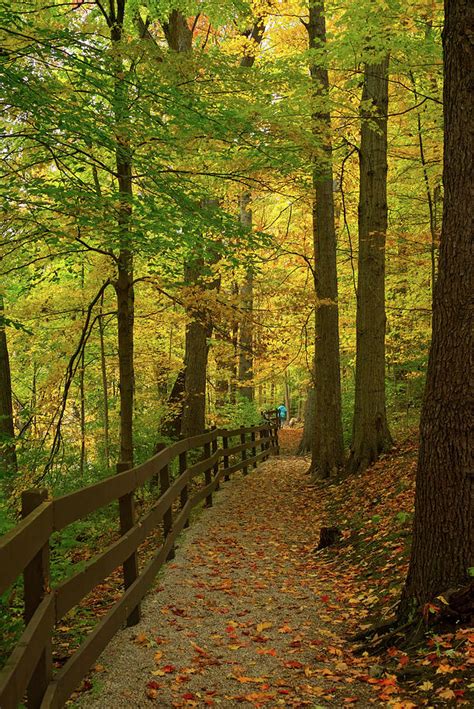 Fenced Path In Fall Woods Photograph By Kenneth Sponsler Fine Art America