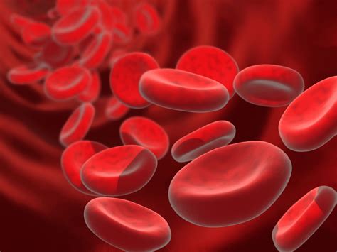 Scientists Have Found A Way To Create Artificial Red Blood Cells