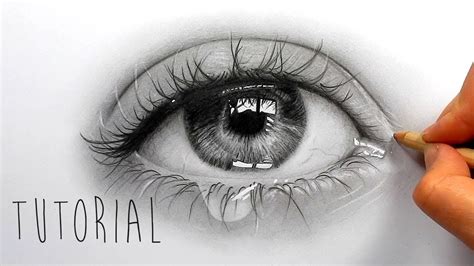 How To Draw Realistic Eyes For Beginners Step By Step