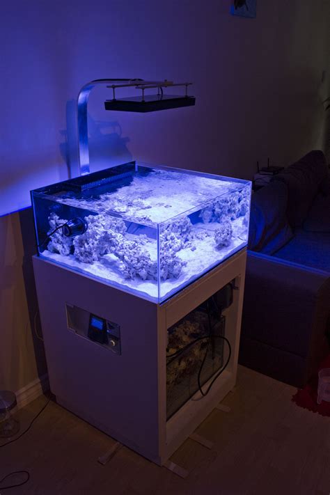 Rimless Aquarium Frag Tank Rin Aquarium Fish