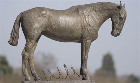 War Horse Memorial To Honour One Million Animals Who Died In The First