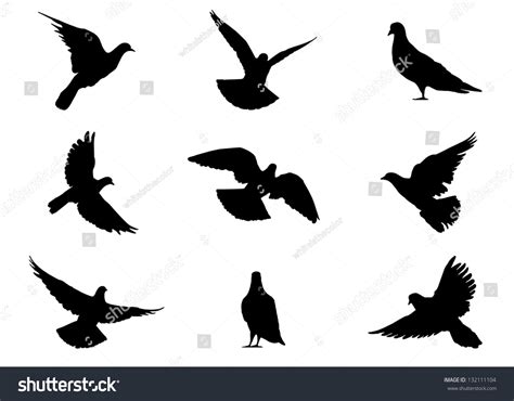 9 Realistic Silhouettes Pigeons Flying Standing Hình Minh Họa Có Sẵn