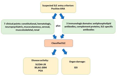 Ijms Free Full Text Advances In The Pathogenesis And Treatment Of Systemic Lupus Erythematosus