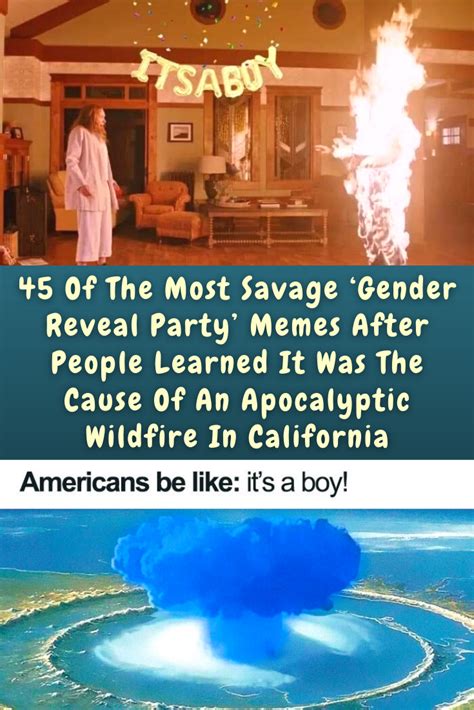 45 Of The Most Savage ‘gender Reveal Party Memes After People Learned It Was The Cause Of An