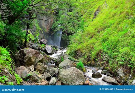 Water Flows Between Mossy Rocks Stock Photo Image Of Flows Hills