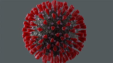 Covid wallpapers in ultra hd or 4k. Study finds COVID-19 can damage lungs without showing ...