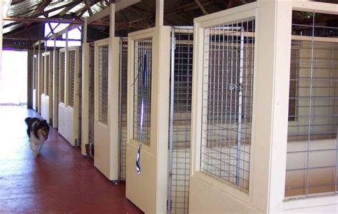 Goldlake Golden Retrievers And Boarding Kennels Tasmania Dog Kennel