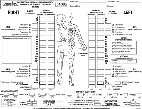 Pdf Classifications In Brief American Spinal Injury Association