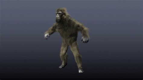 Bigfoot monster hunter is new fps horror game. Finding Bigfoot 2 : Ils ont une preuve que le Wildman ...