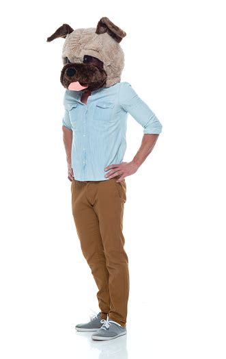 Casual Well Dressed Man Wearing A Dog Head Costume Stock Photo
