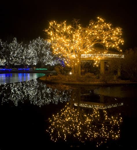 Ken Papaleo X Marks The Shot Blossoms Of Lights Botanic Gardens