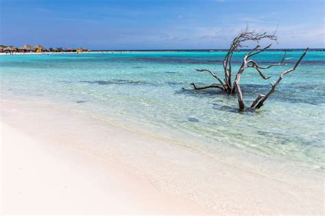 Baby Beach Aruba Aviación En Argentina