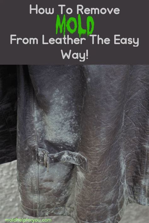 How To Remove Mold From Leather The Easy Way Tips On How To Clean Mold From A Leather Bag How
