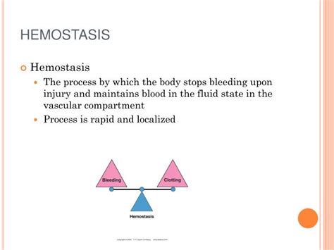 Ppt Hemostasis Powerpoint Presentation Id146818