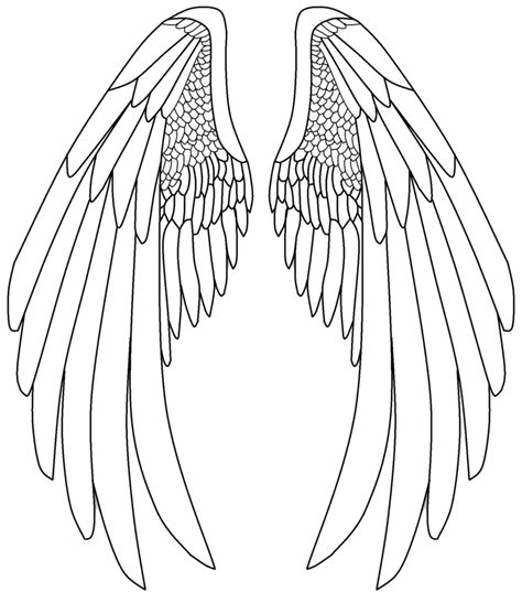 Angel Wing Drawings Step By Step Tutorial