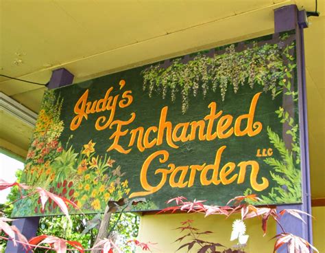 Nursery profile: Judy's Enchanted Garden - Susan's in the Garden