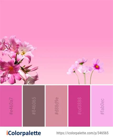 30 Pink Color Combinations Curated Collection Of Color Palettes
