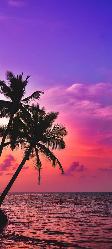 Palm Tree Sunset Beach Wallpaper Chill Out Wallpapers