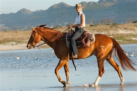 Horse Riding In The Water Stock Photo Dissolve