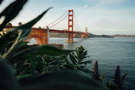 Cosa Vedere A San Francisco 27 Attrazioni Da Non Perdersi